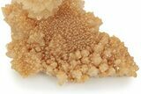 Fascinating Cave Calcite Mushroom Stalactite - Wenshan Mine #223546-2